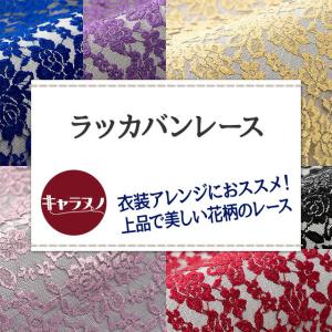 ラッカバンレース 全10色 赤 ピンク 紫 青...の詳細画像1