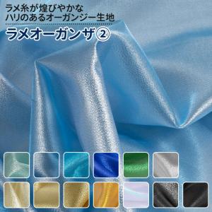 ラメオーガンザ 全28色 白 黒 青 緑 金 銀...の商品画像