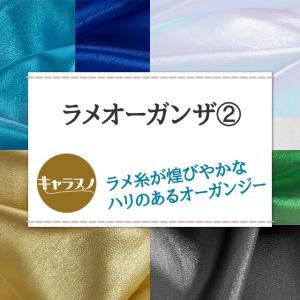 ラメオーガンザ 全28色 白 黒 青 緑 金 ...の詳細画像1