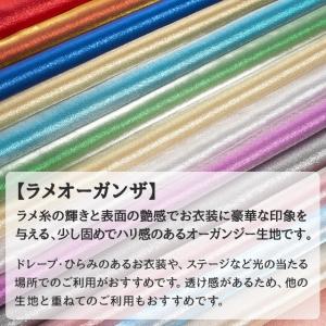 ラメオーガンザ 全28色 白 黒 青 緑 金 ...の詳細画像3