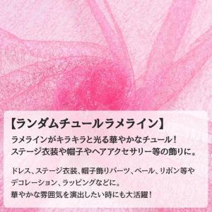ランダムチュール ラメライン 全15色 布幅1...の詳細画像3