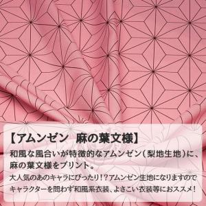 アムンゼン 麻の葉文様 布幅112cm 50c...の詳細画像2