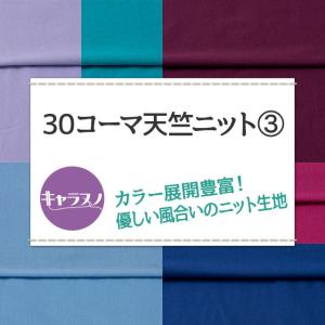 30コーマ天竺ニット 全72色 紫 青 布幅1...の詳細画像1