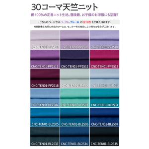 30コーマ天竺ニット 全72色 紫 青 布幅1...の詳細画像2