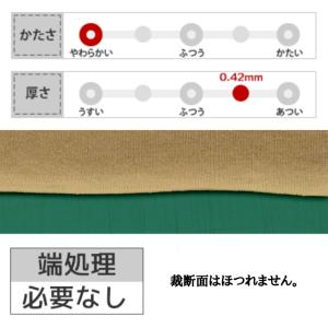 30コーマ天竺ニット 全72色 紫 青 布幅1...の詳細画像4