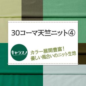 30コーマ天竺ニット 全72色 緑 布幅170...の詳細画像1