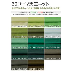 30コーマ天竺ニット 全72色 緑 布幅170...の詳細画像2