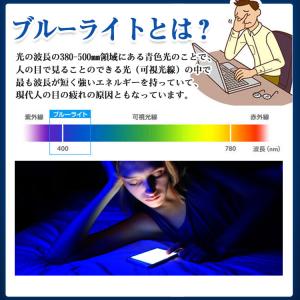 ゴリラガラス iPhone17 ガラスフィルム...の詳細画像4