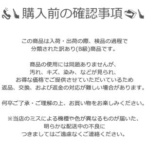 ワンコイン 訳あり iPhone16 ケース ...の詳細画像3