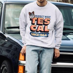 テス メンズ レディース スウェット TES ビンテージ グラフィック プリント ビッグ スウェット 90s VINTAGE SOUVENIOR GRAPHIC SWEAT グレー GRAY 2024春夏新作｜charger