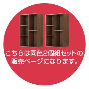 熱販売新作 の本棚 書棚 コミックラック 2個セット ロータイプ 省スペース 2段 おしゃれ 絵本 収納 漫画 ラック Cd Dvd マンガ 本 絵本 雑誌 カラボ カラーボックス 3段 2段 2個セット Abr9096 インテリア 雑貨のカリスマ本店は大感謝祭セール