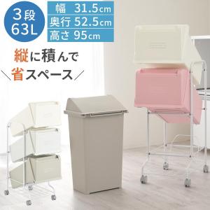 ぼん家具 ごみ箱 縦型 フロントオープン ゴミ箱 袋 見えない 20L 袋可