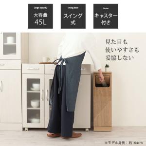 薄型 ダストボックス おしゃれ 袋 見えない ...の詳細画像4