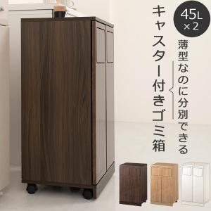 ゴミ箱　おしゃれ 分別ごみ箱 分別2段 省スペース 45リットル 大容量 ゴミ箱 おしゃれ 分別ごみ箱 分別2段 縦型 省スペース 45