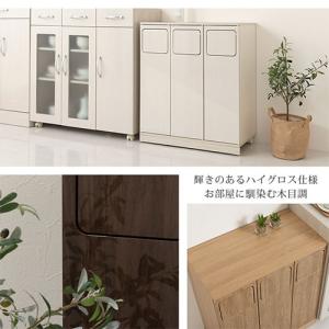 薄型 3分別 ダストボックス おしゃれ 袋 見...の詳細画像2