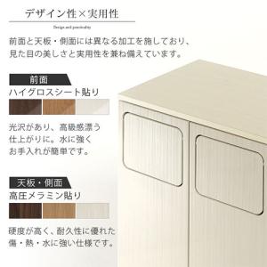 薄型 3分別 ダストボックス おしゃれ 袋 見...の詳細画像4