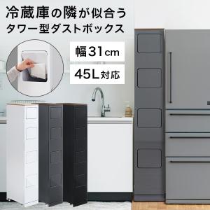 ぼん家具 家具調 キッチン用ゴミ箱 キッチン ゴミ箱上 分別 スリム