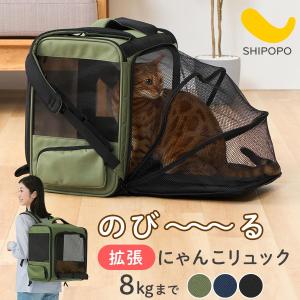 ねこり neco-ri ネコリ かつお味 100g(10g×10包) 1箱10包入りおやつ 猫