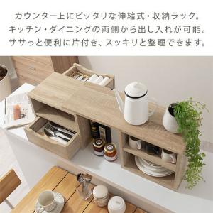 キッチンラック スリム カウンター上収納 スパイスラック キッチンラック スリム カウンター上収納 スパイスラック