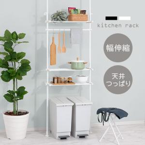 荒川技研 ピクチャーレールCRJ/CRE用ハンガーラックAPH-52 : バイ