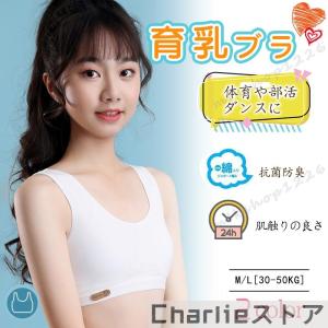 ジュニアブラジャー 子供 ブラ 小学生 中学生 ...の商品画像