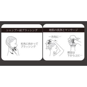 VeSS ベス工業 SCALP BEAUT ス...の詳細画像2
