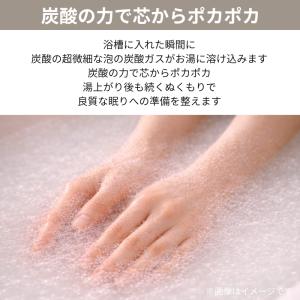 charley チャーリー ロウリュ フィンラ...の詳細画像3