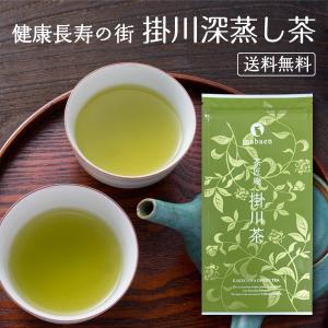 お茶 掛川茶 深蒸し茶 100g メール便 送料無料 日本茶 緑茶 深蒸し茶 静岡茶 深むし茶 ポイント消化｜chashoan