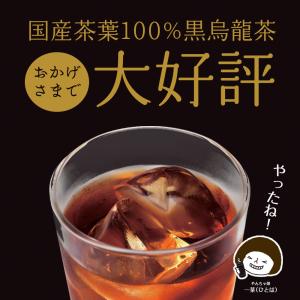 Z T 黒烏龍茶 500ml 24本 国産 日...の詳細画像2