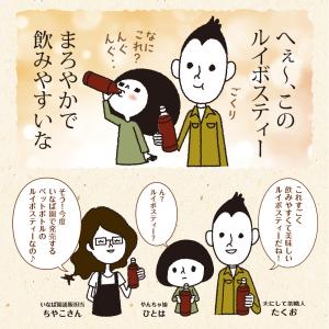 Z ルイボスティー ペットボトル ノンカフェイ...の詳細画像2