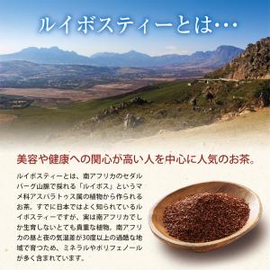 Z ルイボスティー ペットボトル ノンカフェイ...の詳細画像3