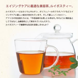 Z ルイボスティー ペットボトル ノンカフェイ...の詳細画像5