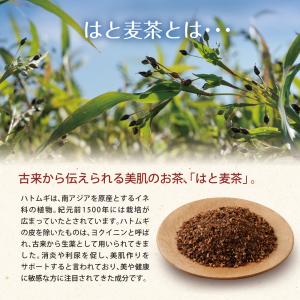 はと麦茶 ティーバッグ 60包入り 三角ティー...の詳細画像4