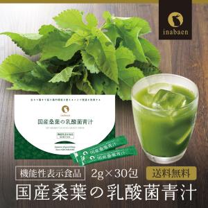 Z BS 国産桑葉の乳酸菌青汁 桑の葉茶 乳酸...の詳細画像2