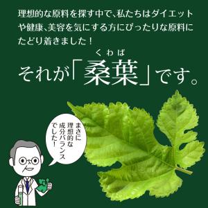 Z BS 国産桑葉の乳酸菌青汁 桑の葉茶 乳酸...の詳細画像5
