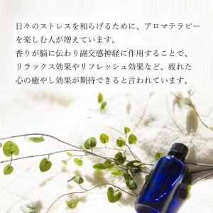 電気式茶香炉 はじめてセット 専用茶葉200g...の詳細画像3