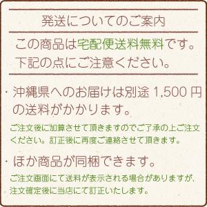 急須 国産フタなし急須 ちゃーみる 白 320...の詳細画像1