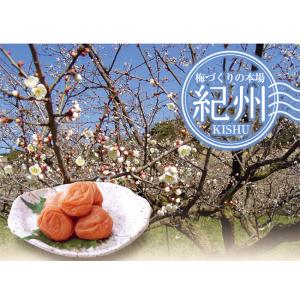 梅干し 訳あり はちみつ梅 つぶれ梅 450g...の詳細画像2