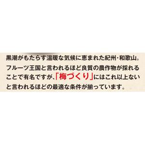 梅干し 訳あり はちみつ梅 つぶれ梅 450g...の詳細画像3