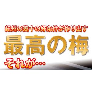 梅干し 訳あり はちみつ梅 つぶれ梅 450g...の詳細画像5