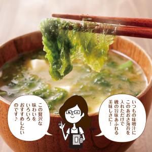 あおさのり 伊勢志摩産 こだわり あおさ海苔 ...の詳細画像5