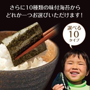 味付け海苔 訳あり 有明産 味付海苔 10種類...の詳細画像1