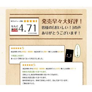味付け海苔 訳あり 有明産 味付海苔 2袋セッ...の詳細画像4