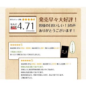 味付け海苔 訳あり 有明産 味付海苔 メール便...の詳細画像4