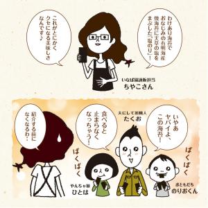 海苔 有明一番摘み 塩海苔 8切104枚 2袋...の詳細画像2