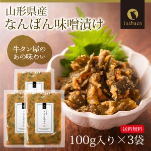 南蛮みそ漬け 100g 3袋セット メール便 ...の詳細画像1