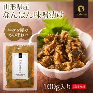 南蛮みそ漬け 100g メール便 送料無料 南...の詳細画像1