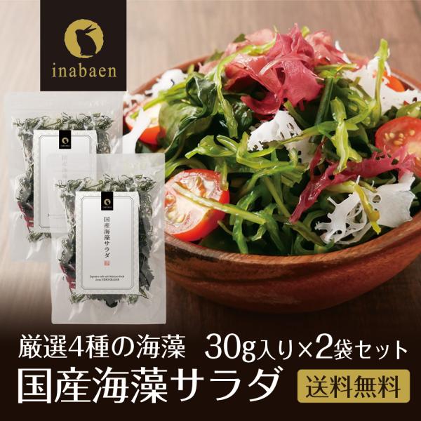 海藻サラダ 国産 30g 2袋セット メール便 送料無料 三陸産わかめ 茎わかめ わかめ 赤とさか ...
