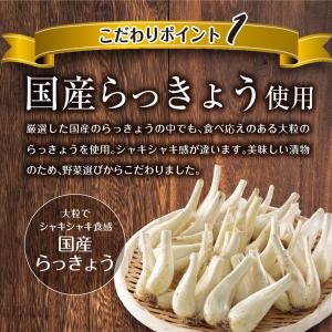 漬物 しゃきしゃき らっきょう たまり漬け 1...の詳細画像5