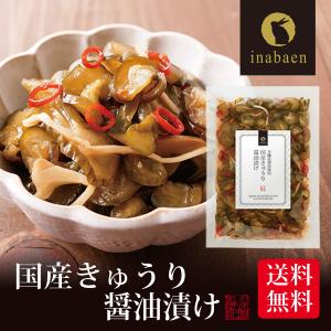 漬物 国産きゅうり醤油漬け 100g メール便 送料無料 漬け物 国産 非常食 ポイント消化｜日本橋いなば園
